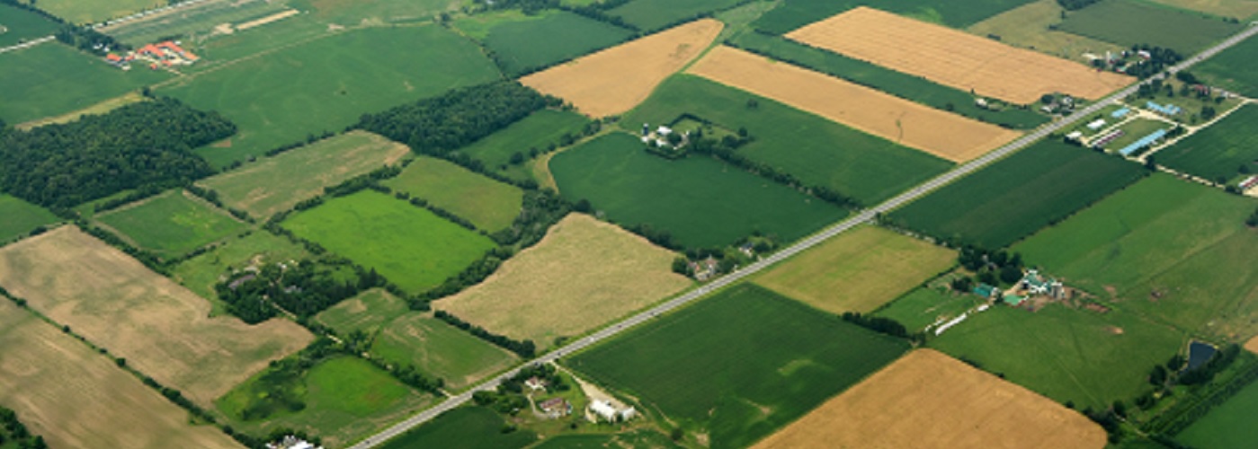 Dawn Solar and Battery Energy Storage Project - Enbridge Inc.