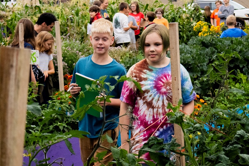 Students help harvest vegetables