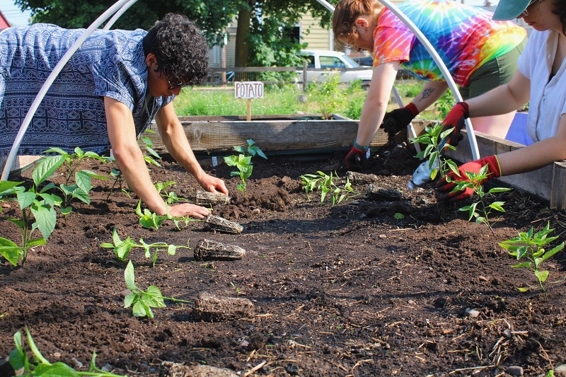 People gardening