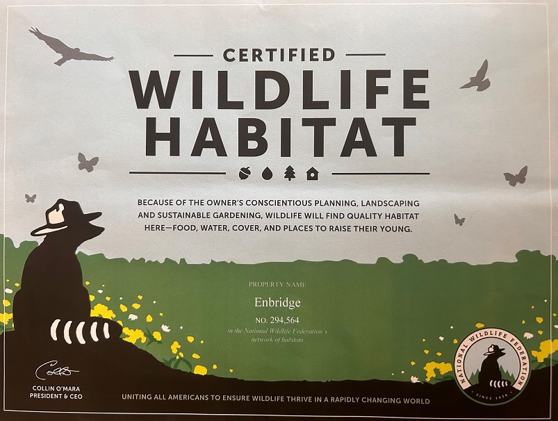 Photo of a wildlife habitat certificate 
