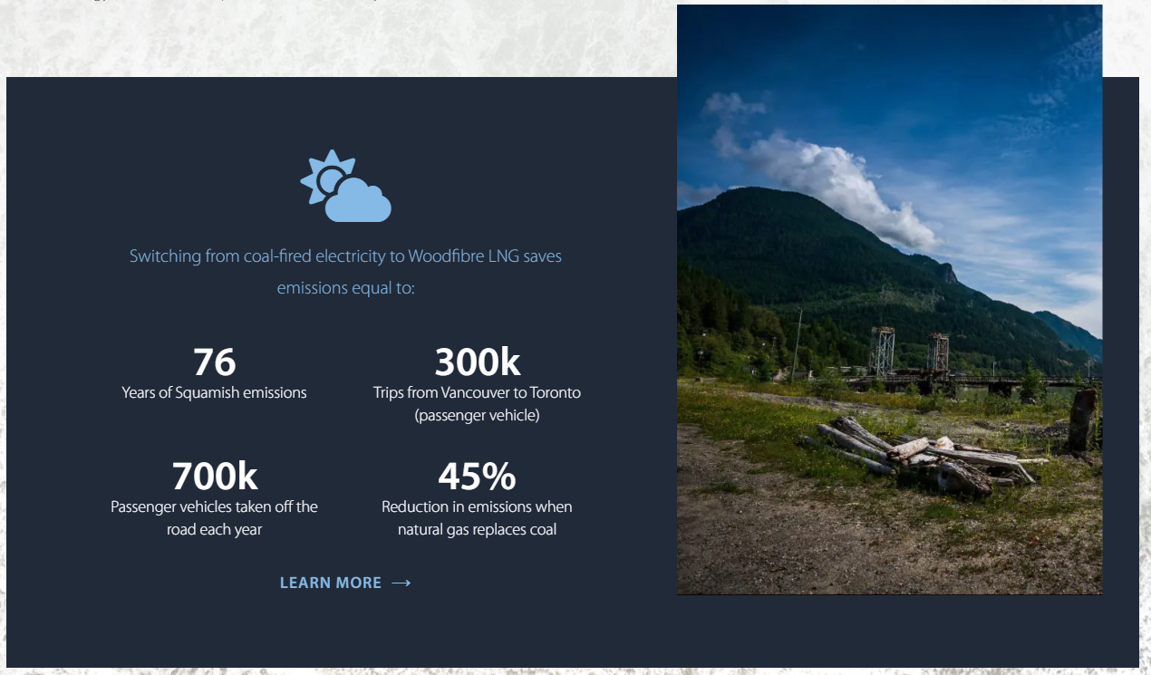 Infographic with environmental data