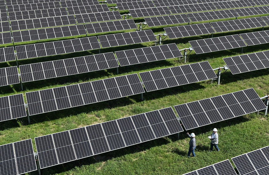 Workers in a solar energy farm